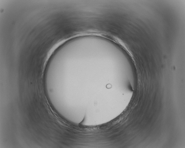 X0000079581320200612221421