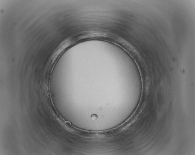 X0000079581321200612221421