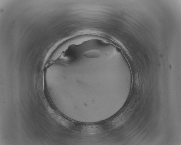 X0000079581323200612221421