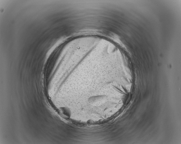 X0000079581325200612221421