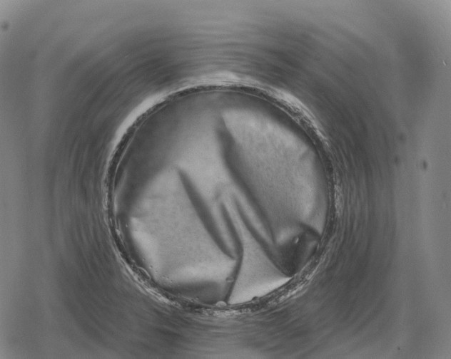 X0000079581326200612221421