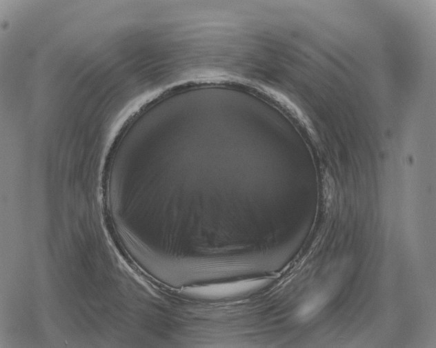 X0000079581327200612221421