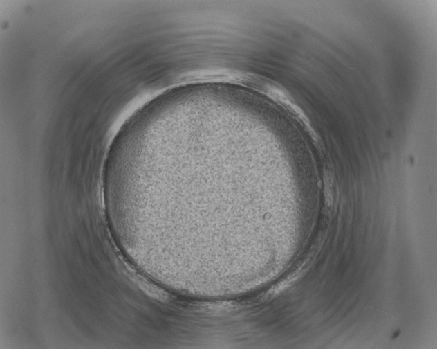 X0000079581328200612221421