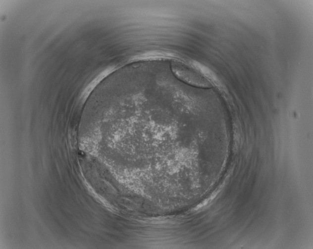 X0000079581329200612221421