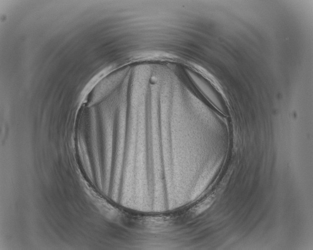 X0000079581330200612221421