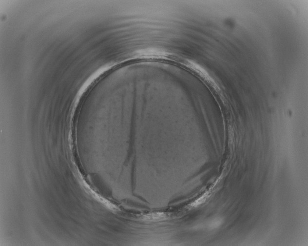 X0000079581331200612221421