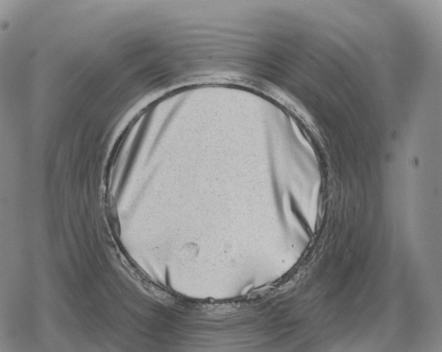 X0000079581332200612221421