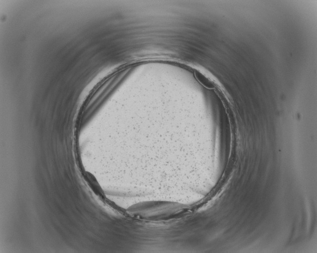 X0000079581333200612221421