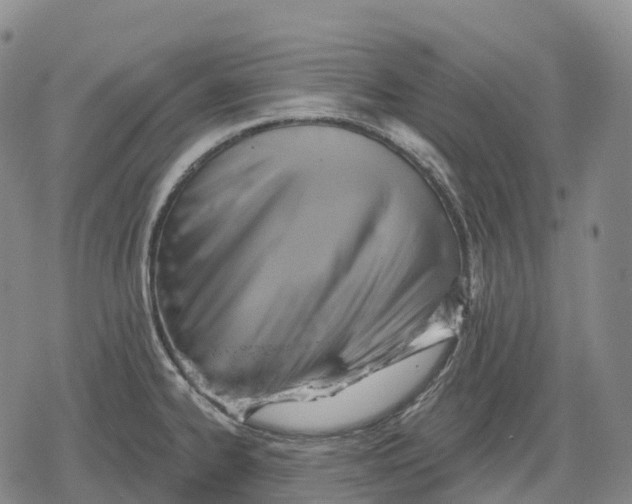 X0000079581334200612221421