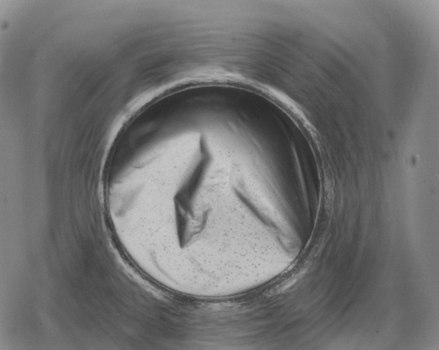 X0000079581335200612221421