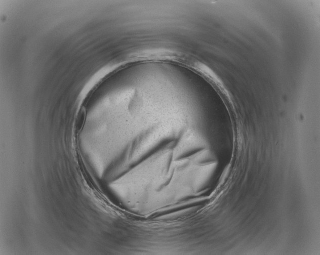 X0000079581336200612221421