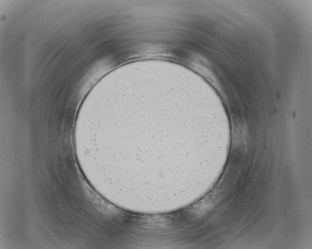 X0000079581338200612221421