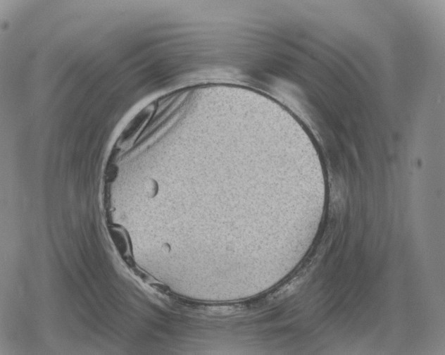 X0000079581339200612221421