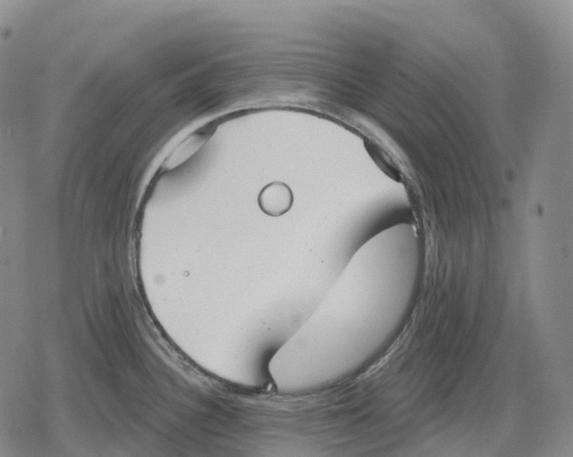 X0000079581340200612221421