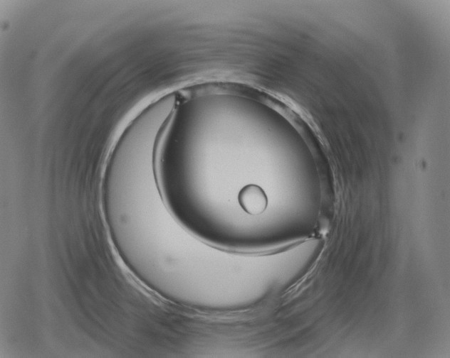 X0000079581342200612221421