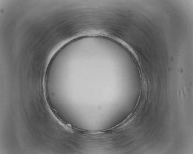 X0000079581343200612221421