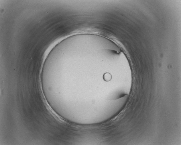 X0000079581344200612221421