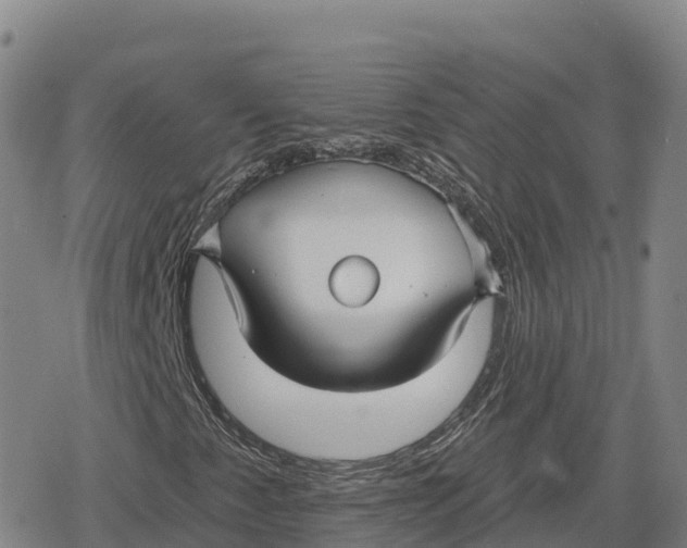 X0000079581345200612221420