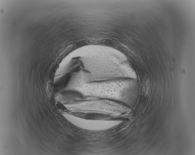 X0000079581346200612221420