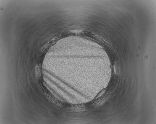 X0000079581347200612221420