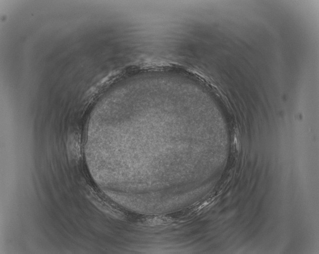 X0000079581348200612221420