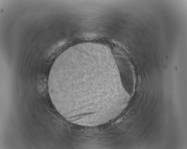 X0000079581349200612221420