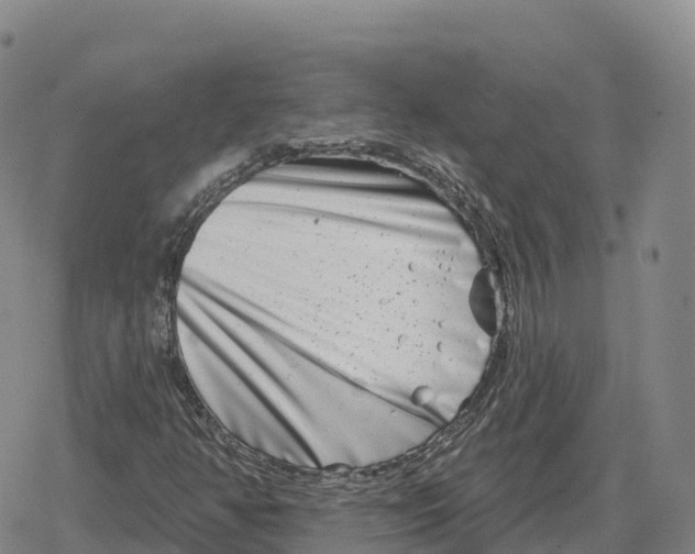 X0000079581350200612221420