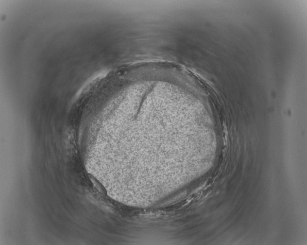 X0000079581351200612221420