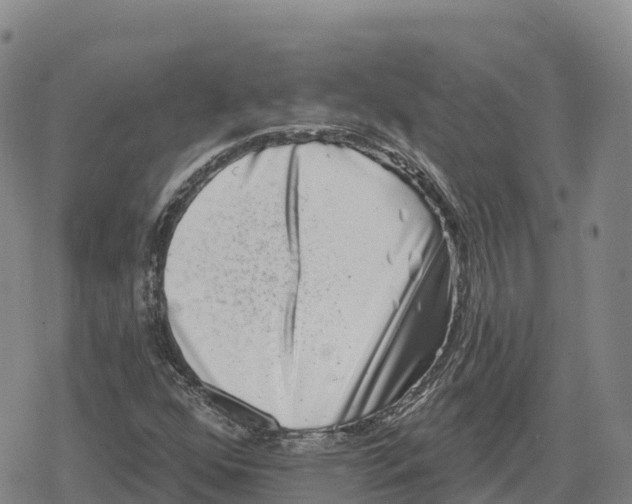 X0000079581352200612221420