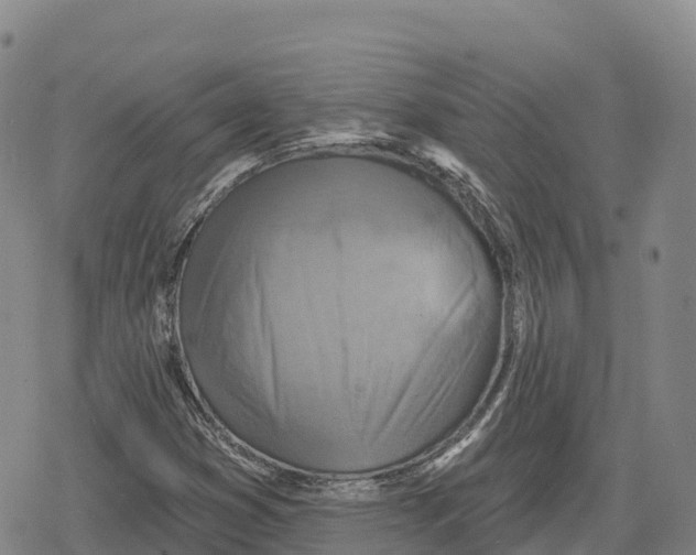 X0000079581353200612221420