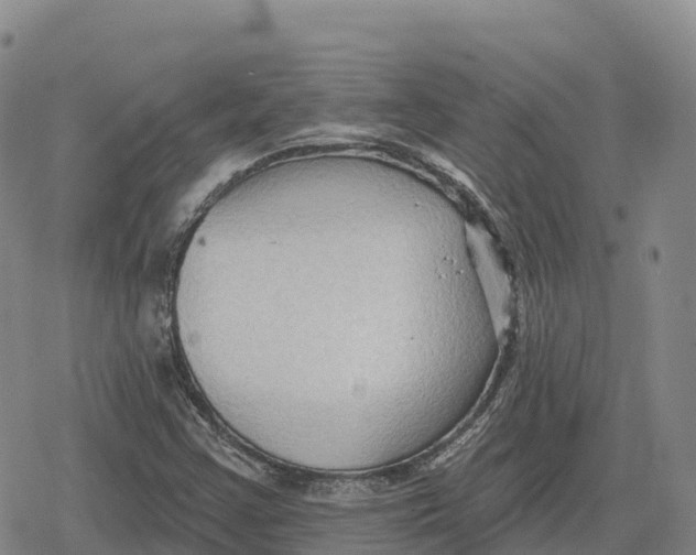 X0000079581355200612221420