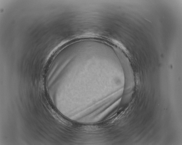 X0000079581356200612221420