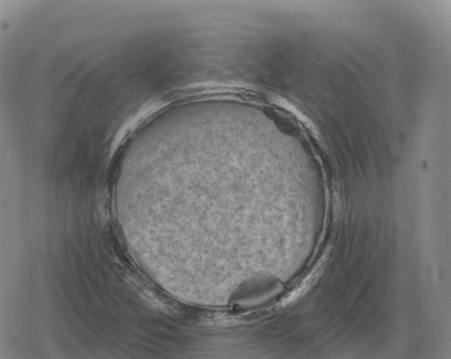 X0000079581357200612221420