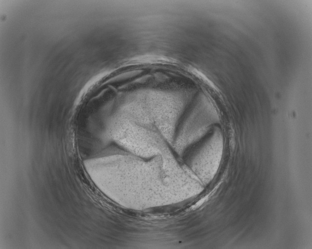 X0000079581358200612221420