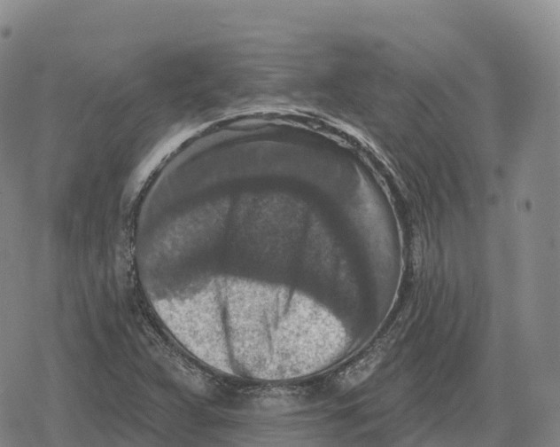 X0000079581359200612221420