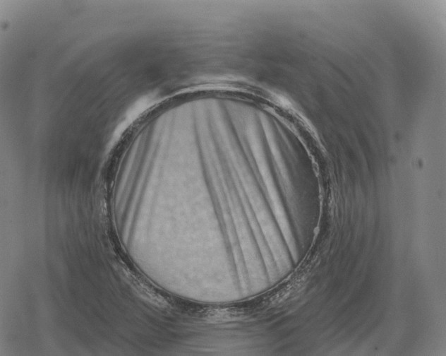 X0000079581360200612221420