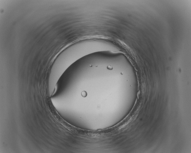 X0000079581361200612221420