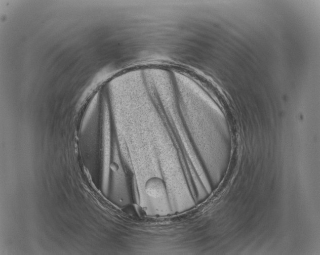 X0000079581363200612221420