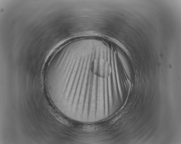 X0000079581364200612221420