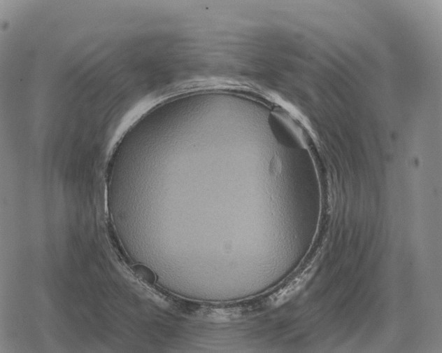 X0000079581365200612221420