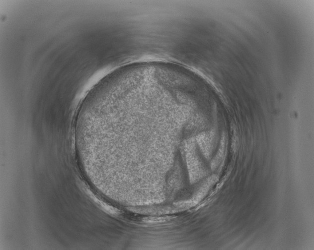 X0000079581367200612221420