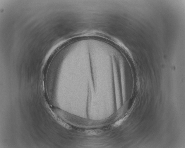 X0000079581368200612221420