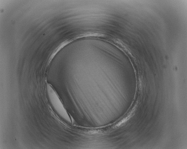 X0000079581369200612221420