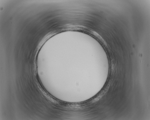 X0000079581370200612221420