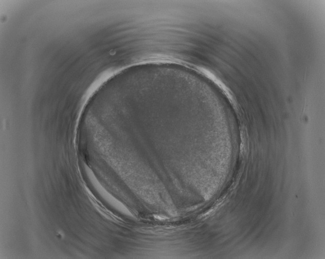 X0000079581372200612221420