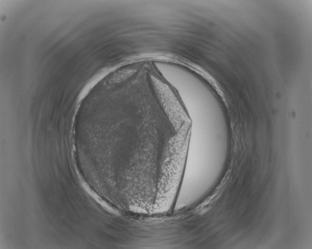 X0000079581373200612221420