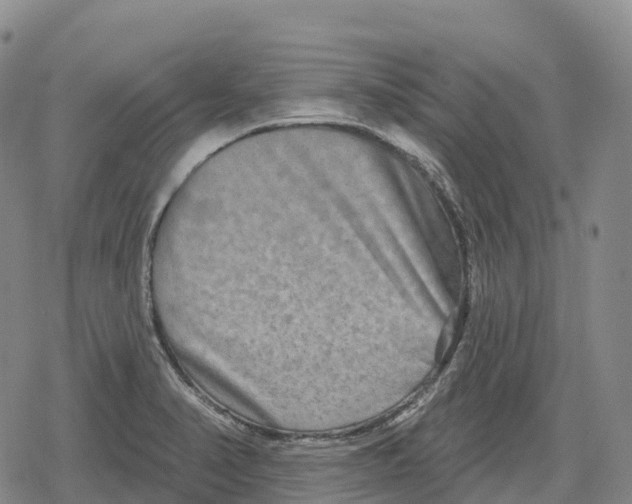 X0000079581374200612221420