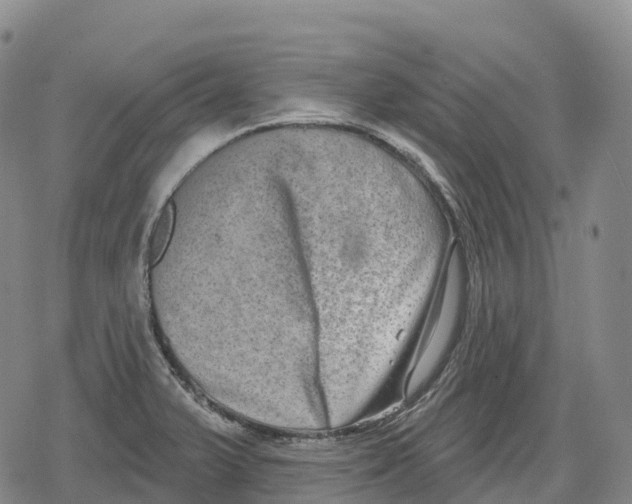 X0000079581375200612221420