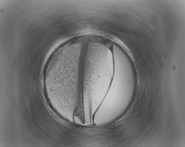 X0000079581376200612221420