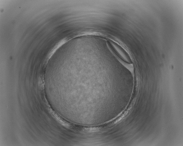 X0000079581377200612221420